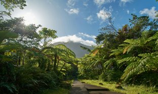 Guadeloupe Retreats & Trips