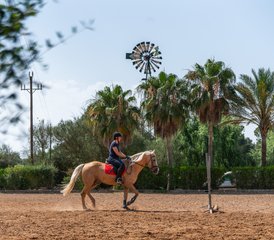 8 Day Andalusian Stallions Dressage Horse Riding Holiday in Mallorca, Balearic Islands, Spain - Photo 4