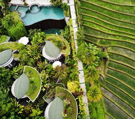 45 Tage Öko-Luxus, Kultur, Yoga und Meditation Retreat auf Bali, Indonesien - Photo 1