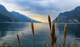 Lake Garda Retreats & Trips