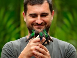 7 Day Birdwatching Tour in Ecuador