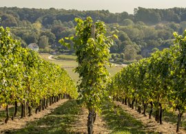 Limburg Retreats und Reisen