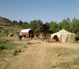 8 jours de randonnée équestre Argan au Maroc - Photo 4