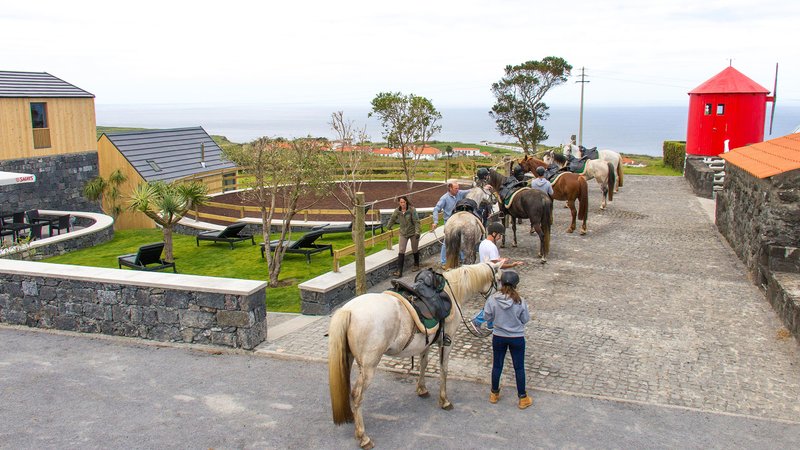 8 Day Faial Island Horse Riding Trail in Azores
