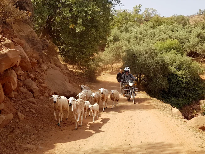 7 Day Guided Motorcycle Tour in High Atlas Mountains, Morocco photo 2