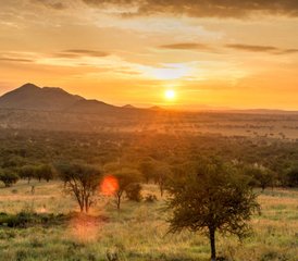 2-Tage-Tansania-Safari: Erkunden Sie den Tarangire Nationalpark und den Ngorongoro-Krater - Photo 3
