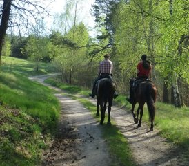 04 Tage Weekend Sternritt: Reiturlaub mit Naturerlebnis im Drawski-Landschaftspark, Polen - Photo 1