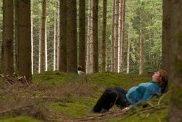 3 Jour Retraite Slow : Yoga et Bain de Forêt en Gaume, Belgique