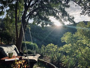 6 Day Natural Reset: The Chinese Medicine Wellness Retreat - Rest, Restore, Revitalise In Spain