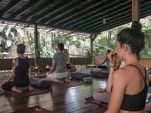 6 Day Self Reset Yoga Retreat in Playa Hermosa, Puntarenas, Costa Rica