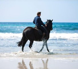 8 Day Horse Riding Holiday with Beautiful Intermediate Trails in Menorca, Balearic Islands, Spain - Photo 2