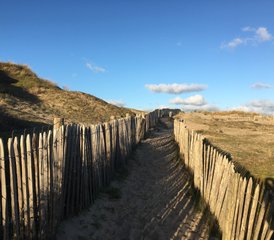 3 Tage im Kurs zur Wiederverbindung mit sich selbst und Yoga, unter Frauen, an der Côte d'Opale, Frankreich - Photo 4