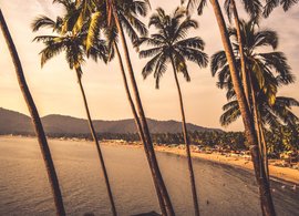 Canacona Retreats & Trips