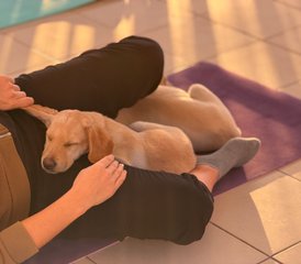 4 Tage Yoga-Retreat zwischen Meerblick und Welpenliebe – Zeit für dich in Peyia, Zypern - Photo 5