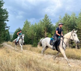 3 Day Horse Riding Vacation in Rila National Park, Bulgaria - Photo 2