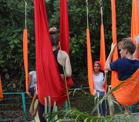 11 días de curso de formación de profesorado de yoga multiestilo de 100 horas (con yoga aéreo) en Goa, India - Photo 4
