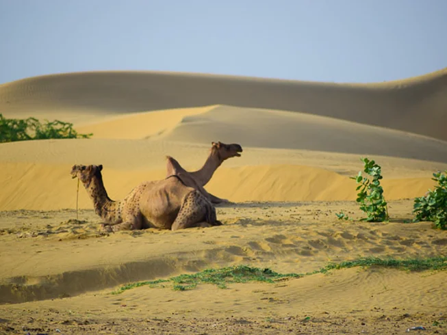 8 Day Desert of Rajasthan Guided Motorcycle Tour in India photo 2
