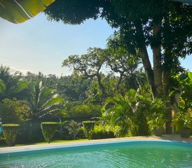 4-Week Depression Recovery with Ayahuasca Healing, Reiki, Meditation, Yoga & Massages in Brazil - Photo 2