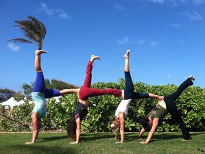 6 Tage Yoga Retreat mit Natur Abenteuern und Reinigenden, Nährenden Mahlzeiten auf Maui