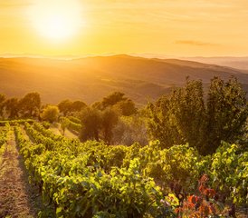 8 jours en retraite de yoga Vita Sana "Healthy Life" en Toscane, Italie - Photo 4