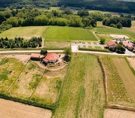 3-Daagse Paardrij De Retreat in Bjelovar, Kroatië - Photo 5