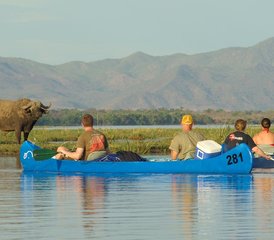 7 Tage Wunderschöne Kanu-Safari am Sambesi in Sambia - Photo 2
