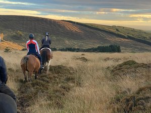 4 Day Action Adventure Horse Riding Holiday in Mull of Kintyre, Argyll