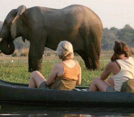 73 días de safari en canoa por Marula en la Provincia de Mashonaland West, Zimbabue - Photo 1