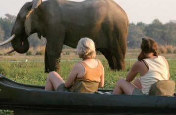 3 días de safari en canoa por Marula en la Provincia de Mashonaland West, Zimbabue