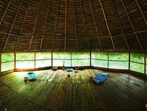 7 Day Ayahuasca, Meditation, and Yoga Retreat in the Amazon Rainforest, Iquitos, Loreto