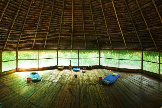 7 Day Ayahuasca, Meditation, and Yoga Retreat in the Amazon ...