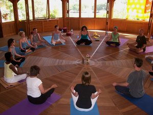 8 Day The Grace Within Yoga Retreat in Lesvos, Greece