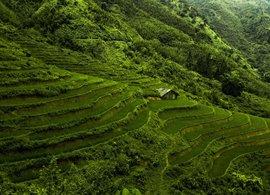 Sa Pa Retreats & Trips