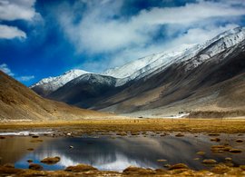 Ladakh Retreats & Trips