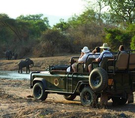 5 Día de Naturaleza Virgen: Safari en Zambia, en el Parque Nacional del Bajo Zambeze - Photo 3