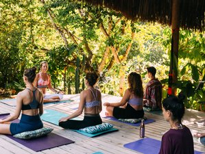 6 Day Yoga and Meditation Retreat in Paradise in Bahia 