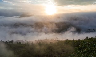 Juquila Retreats & Trips