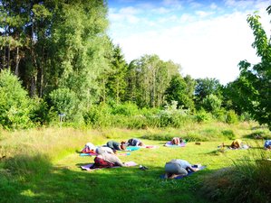 4 Day Silent Retreat with Yoga, Meditation and Forest Bathing near Retie, Belgium