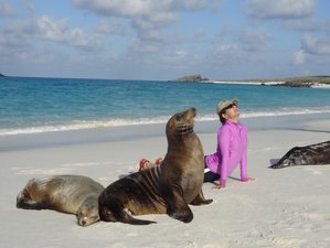 10 jours en vacances de yoga et excursions dans la nature sauvage des Galapagos, Équateur