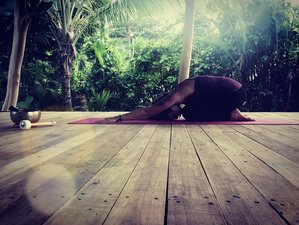 6 Day or 2 Weeks 1-On-1 30-Hour Online Yin Yoga Teacher Training