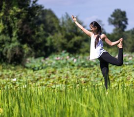 24 Tage Einführungen in die Spiritualität Yoga Retreat in Puk Russey, Kambodscha - Photo 1