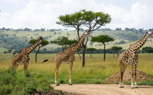 Kenia Retraites en Reizen