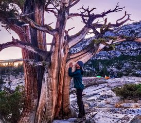 3-Daagse Wild Within: Een Backpackreis Terug Naar Jezelf Onder De Sierra-sterren in California, Verenigde Staten - Photo 5