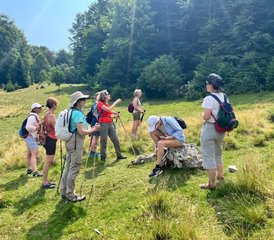 6 Day Yoga and Mindfulness Retreat in the Carpathian mountains, Romania - Photo 2
