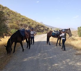 2 Day "Trails of Cinema, Tabernas Desert by Horse" Horse Riding Holiday in Almería, Spain - Photo 3
