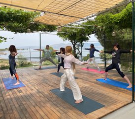 1029 Tage 300-Stunden Yogatherapie und Integrative Medizin Kurs auf Lesbos, Griechenland - Photo 1