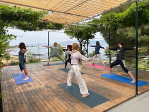 29 Day 300-Hour Yoga Therapy and Integrative Medicine Course on Lesbos Island, Greece