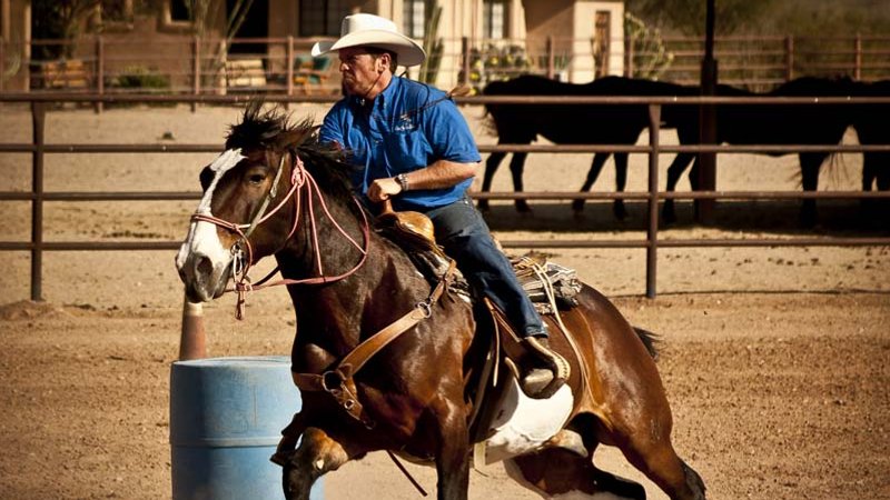 8 Day Ranch Stay and Horse Riding Holiday in Tucson, Arizona, USA