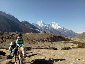 16 Day Strenuous Horse Riding Trek to the Everest Base Camp in Nepal