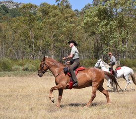 9 Day Transhumance Horse Riding Tour in Spain - Photo 2